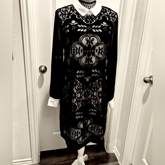 Peter Pan Collar Black Velvet Burnout Tunic Shirt Goth Witchy Vibes Dress sz 10 - Picture 8 of 8